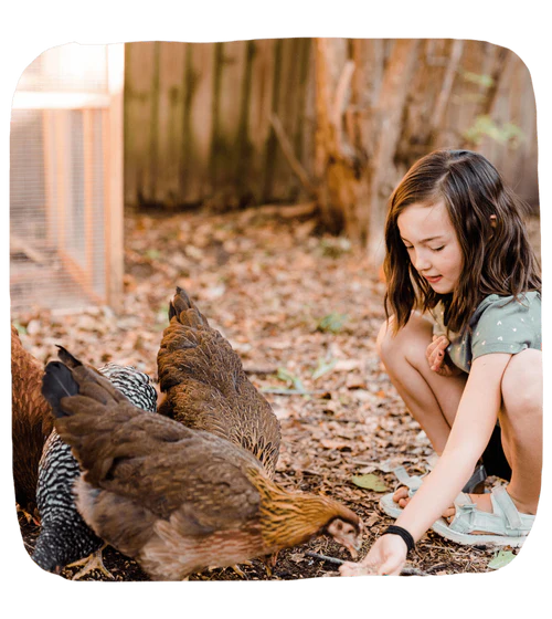 Welcome to Our Store